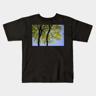 Spring Green Beech Tree Leaves Kids T-Shirt